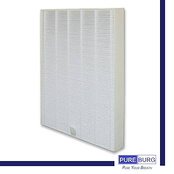 Amazon.com: PUREBURG FZ-A60HFU Replacement Filter Compatible